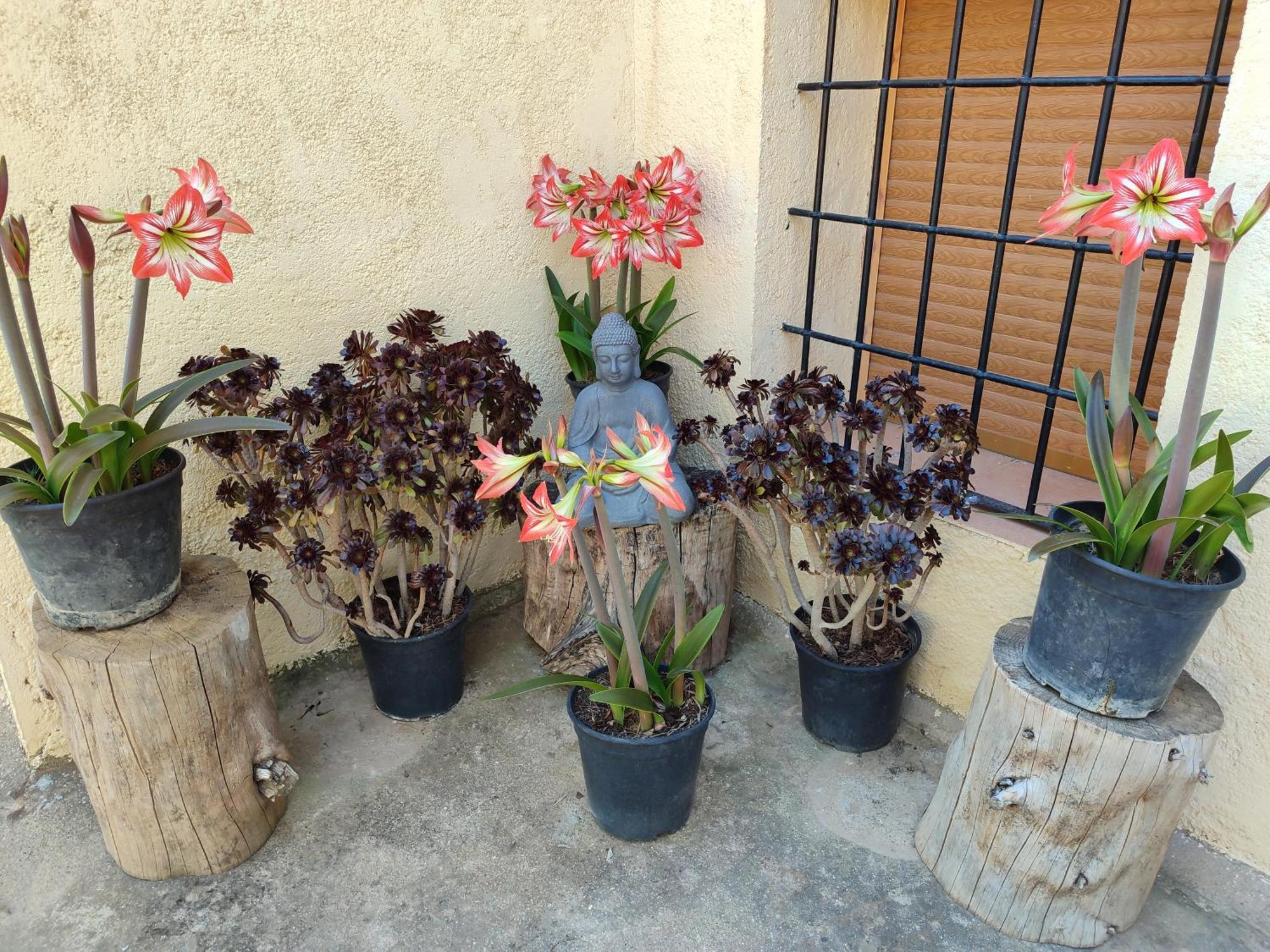 Vivienda Rural Belen Villa Pozo Alcon Room photo
